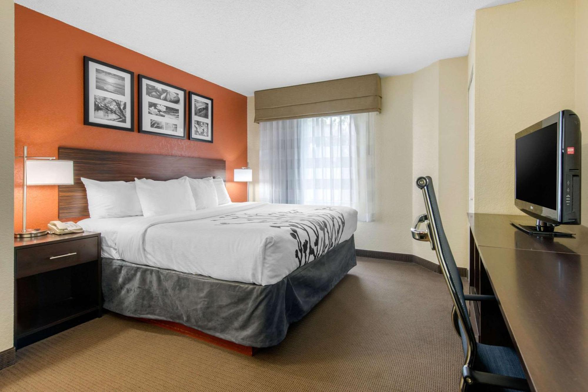 Sleep Inn Sarasota North Eksteriør bilde