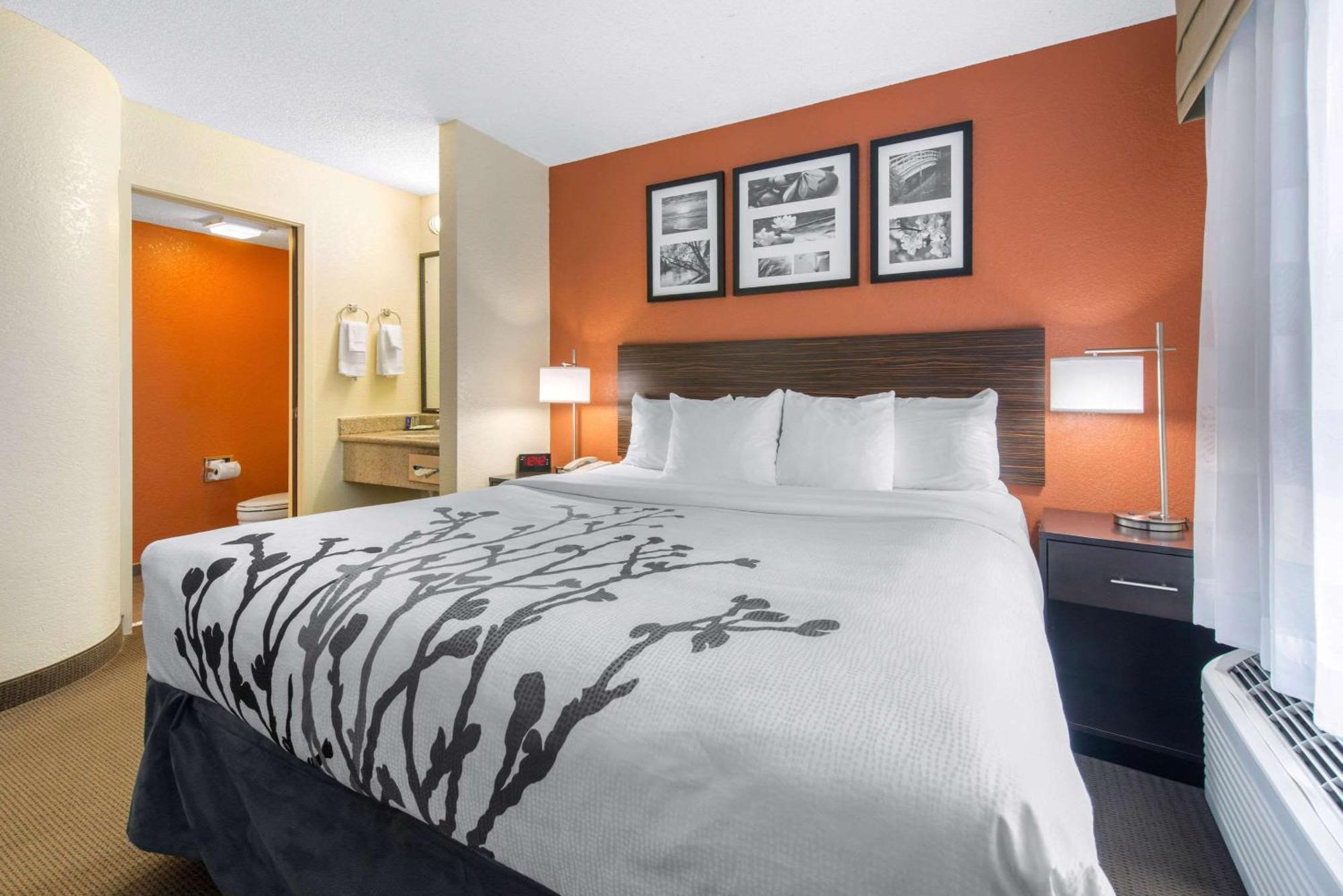 Sleep Inn Sarasota North Eksteriør bilde
