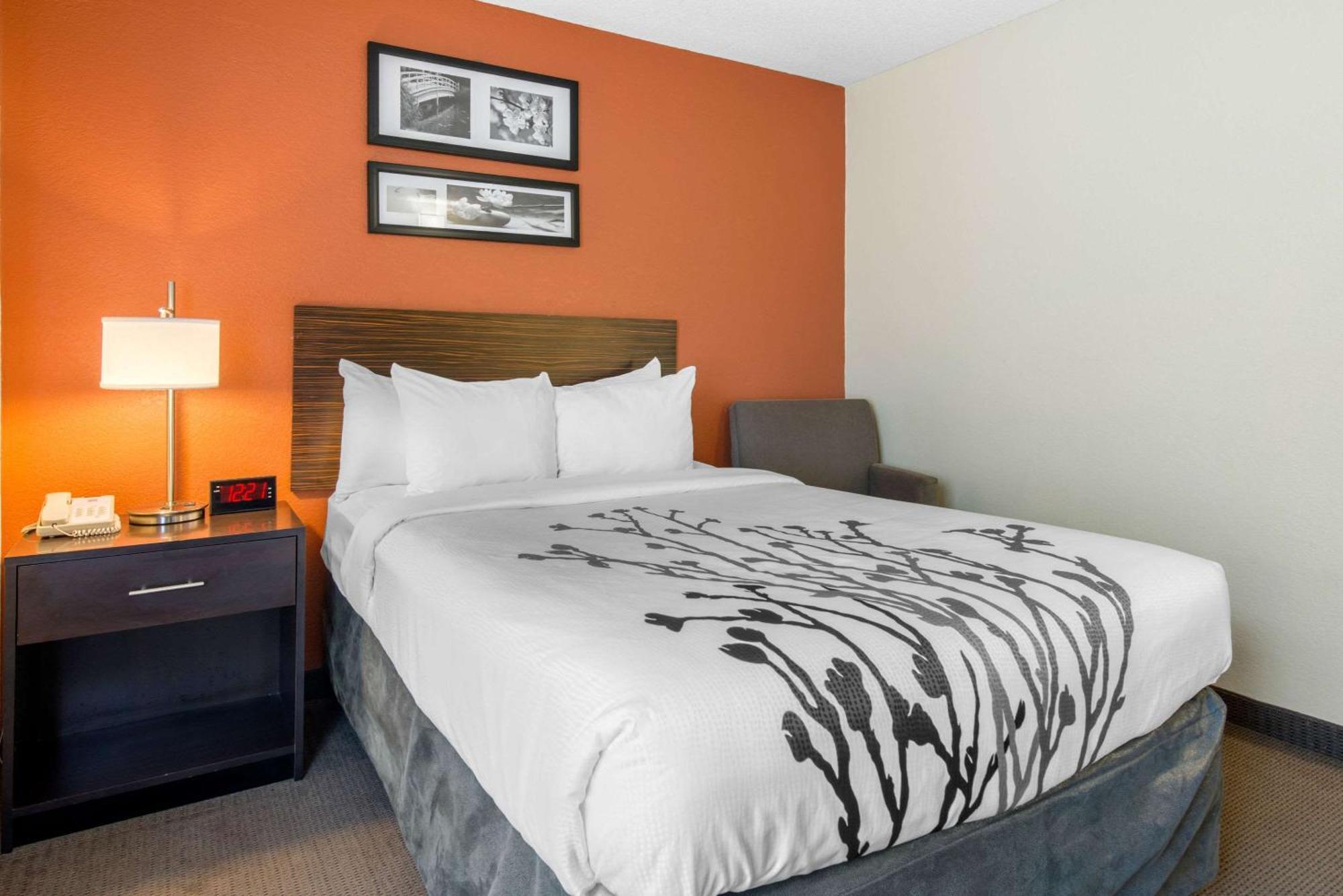 Sleep Inn Sarasota North Eksteriør bilde