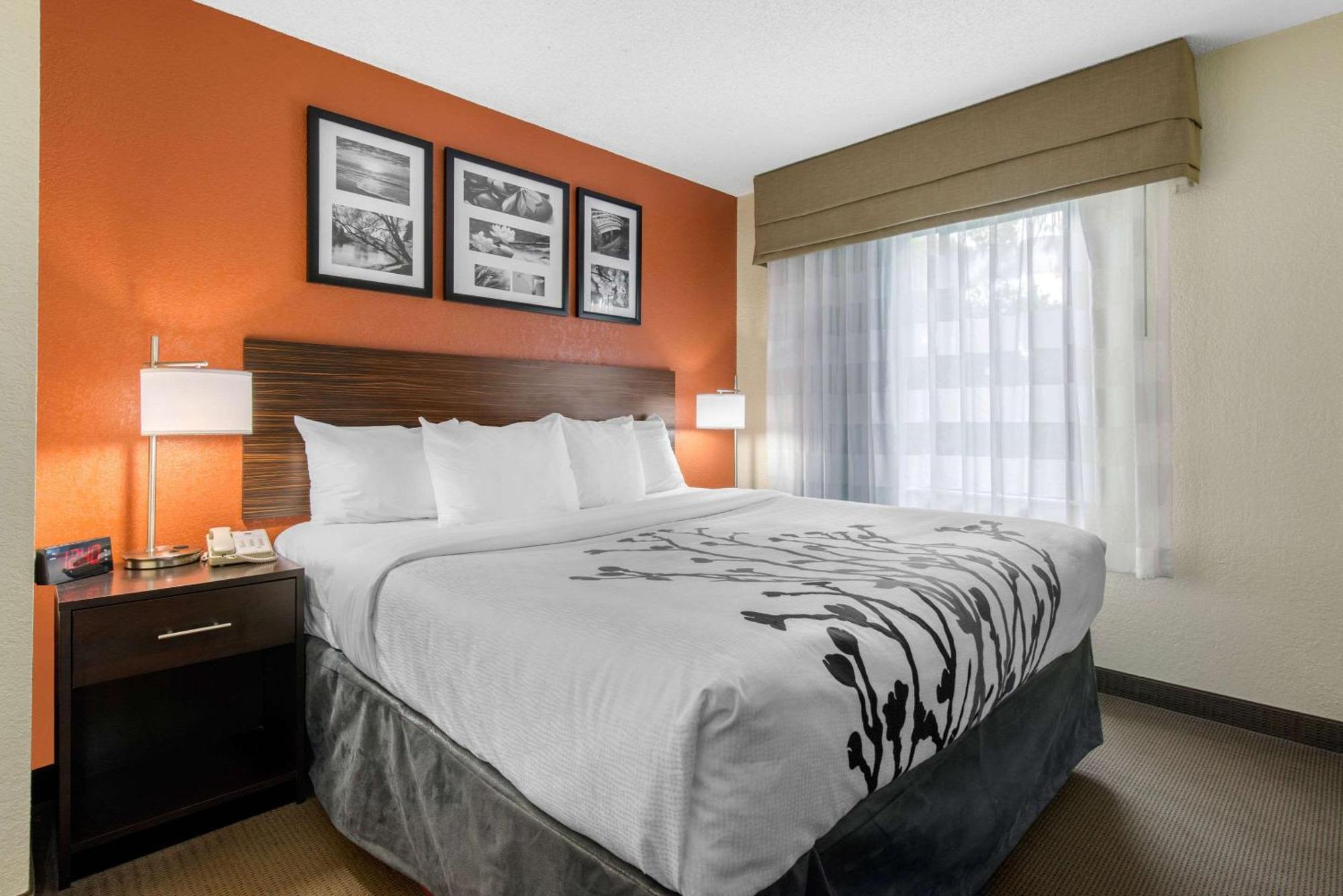 Sleep Inn Sarasota North Eksteriør bilde