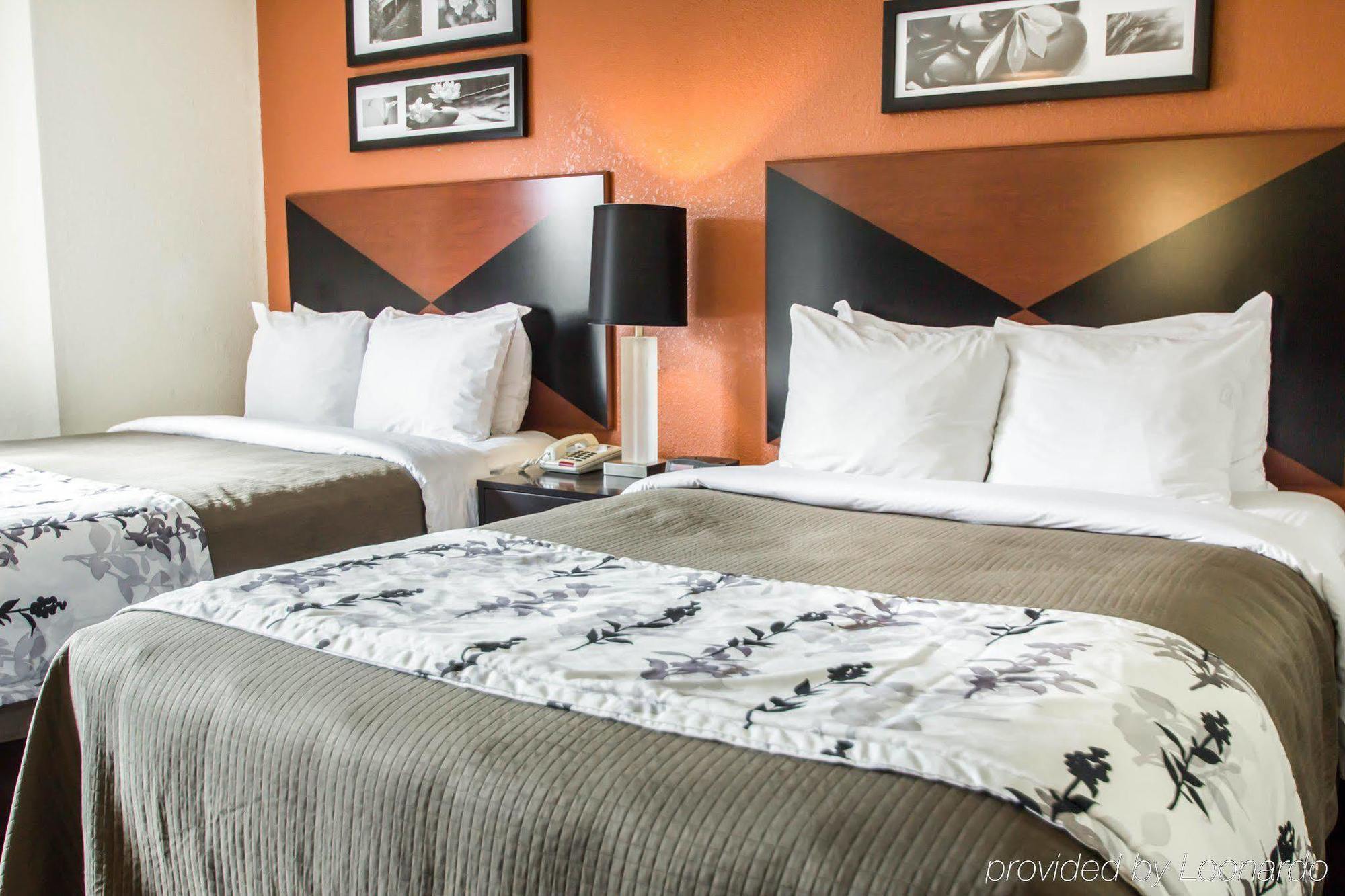 Sleep Inn Sarasota North Eksteriør bilde